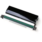 Zebra Druckkopf, 300dpi für ZT610 und ZT610R