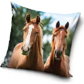 Carbotex Taie d'oreiller Chevaux Brownies
