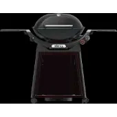 Weber Q 3200N avec Support