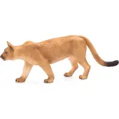 Small Foot Cougar