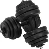 vidaXL Haltères courts 2x15 kg