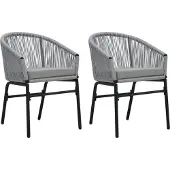 vidaXL Chaises de jardin 2 pcs. Anthracite PVC Rotin