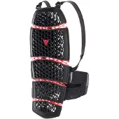 Dainese Pro-armor 2.0 Back Protector Noir XS-M