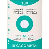 Exacompta Fiches (210 x 297 mm, 205 g/m²)