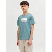 JACK&JONES JUNIOR Junior T-Shirt 'JCOFusion' gris clair / émeraude