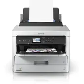 Epson C529R/C579R (C13T01C300) - Magenta - Cartouche d'encre - Grande capacité