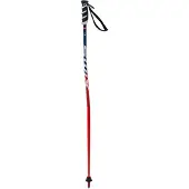 Swix Wc Pro Sg Bâtons Junior Argent 115 cm Argent 115 cm