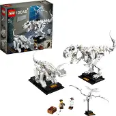 LEGO 21320 Ideas Fossiles de dinosaures
