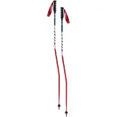 Swix Bâtons World Cup Pro Sg Carbon