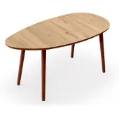 Skye Decor Nora Coffee Table (50 x 100 x 45 cm)