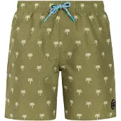 Protest Calvin Swimming Shorts Vert 152 cm Garçon