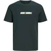 Jack & Jones Junior T-Shirt 'JJMUNK' vert clair / vert foncé / blanc