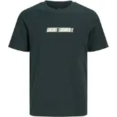 Jack & Jones Junior T-Shirt 'JJMUNK' vert clair / vert foncé / blanc