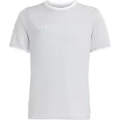 Adidas T-Shirt fonctionnel 'Entrada26' pierre / blanc
