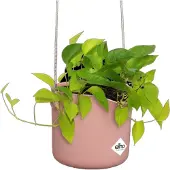 Elho Pot De Fleurs Rond B.For - Plastique - Ø18 - Rose Poudré