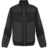 Regatta Veste hybride thermique unie E-volve