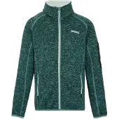 Regatta Newhill Full Zip Fleece Vert 10-11 Years Garçon