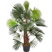 Homescapes Palmier bambou vert Lady Palm en pot, 90 cm