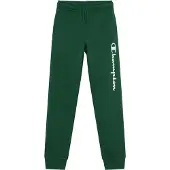 Champion Pantalon vert foncé / blanc