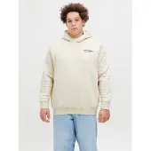 Jack & Jones Plus Sweat-shirt aubergine / rouge / blanc