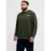 Jack & jones Plus Sweat-shirt beige / sable / vert / blanc