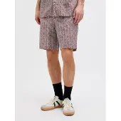 Jack & Jones Pantalon bleu clair / taupe