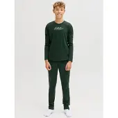 Jack & Jones Junior Survêtement sapin / blanc