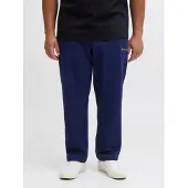 Jack&Jones PLUS Plus Pantalon bleu marine / orange