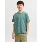 Jack & jones Junior T-Shirt 'JCOETERNA' émeraude / jade / blanc