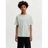 Jack & jones Junior T-Shirt roseau / vert pastel / blanc