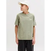 Jack & Jones Junior T-Shirt 'JORNorrebro' roseau / blanc