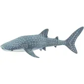Safari Requin-baleine