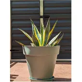Riviera Pot de Fleurs Riviera Vert Ø 50 cm
