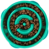 Outward Hound Mini Fun Feeder Teal