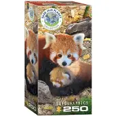 Eurographics Red Pandas 250 pi ces Puzzle