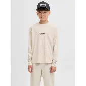 Jack & jones Junior T-Shirt gris
