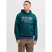 Jack & Jones Logo 2 Colors Hoodie Bleu S Homme
