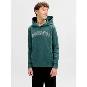 Jack & jones Junior Sweat 'JJECaleb' sapin / noir / blanc