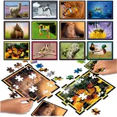 Educa Puzzle 12 Puzzles - Puzzle Battle La Nature - 10 à 25 pièces