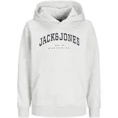 Jack & Jones Junior Sweat 'JJECaleb' gris clair / noir / blanc