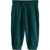 Next Pantalon vert foncé