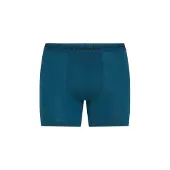 Icebreaker Merino 150 Anatomica Boxers Bleu S Homme