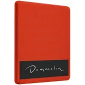 Dommelin Drap-housse Dommelin Terracotta (Percale 200TC)-80 x 200 cm