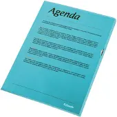 Esselte Pochettes de visualisation Esselte Standard, DIN A4, PP, bleu, 0,12 mm ouvert sur le dessus et les (A4, 100x)