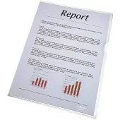 Esselte Pochette transparente Standard Plus (A4, 100x)