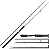 Salmo Canne Baitcasting Trollmaster