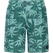 Protest William Swimming Shorts Vert 176 cm Garçon