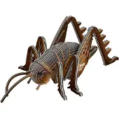 Eugy Weta - Insecte géant - Puzzle 3D écologique