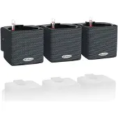 Lechuza 3 pcs Jardinières Green Wall Home Kit Ardoise