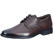 Lloyd Chaussure à lacets marron